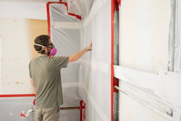 Mold Documentation for Insurance Claims in Birmingham, AL