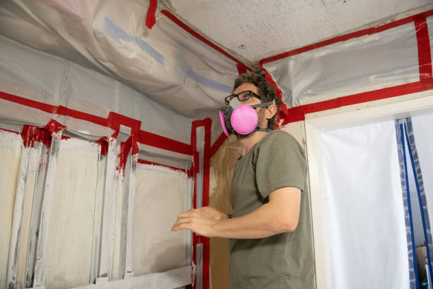 Best Real Estate Mold Inspection  in Birmingham, AL