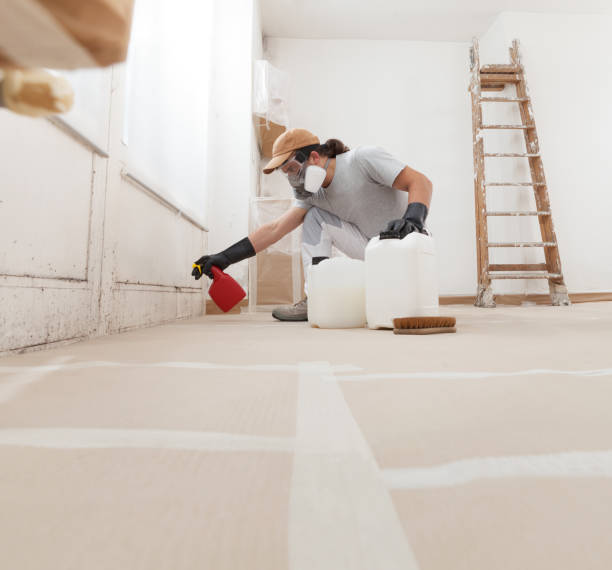 Best Industrial Mold Remediation  in Birmingham, AL
