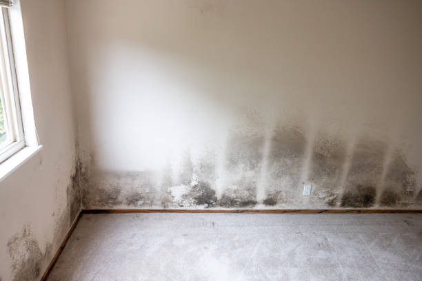 Best Indoor Air Quality Assessment  in Birmingham, AL